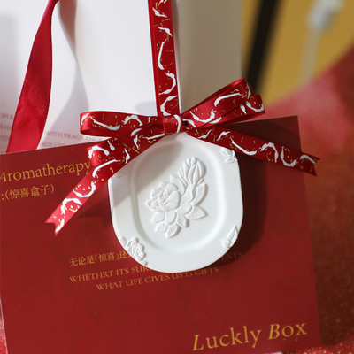 Logotipo del cliente Conjunto de regalos de aromaterapia sin llama del año perfecto para regalos de agencias de viajes