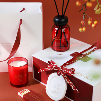 Logotipo del cliente Conjunto de regalos de aromaterapia sin llama del año perfecto para regalos de agencias de viajes