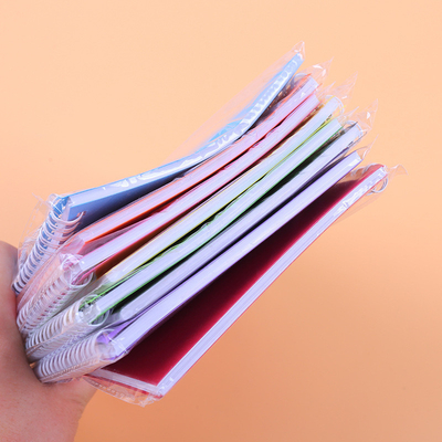 Conjunto de Bloc de notas minimalista de color sólido Diseño de bobina de colores múltiples y papel para 2024 Regalo