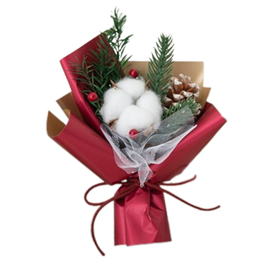 Bouquet festivo de Navidad con flores secas y algodón objetivo Agencia de viajes de usuario final
