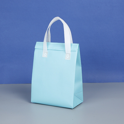 Logotipo Logotipo del cliente Bolsas de aislamiento personalizadas de papel de aluminio no tejido para una sola vez