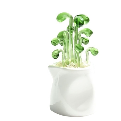 Promoción Decorar regalos Ornamentos de vidrio para cactus y plantas en macetas